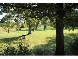 Property photo 25 - Tillable, Pasture, Recreational, Hunting and Fishing Property  